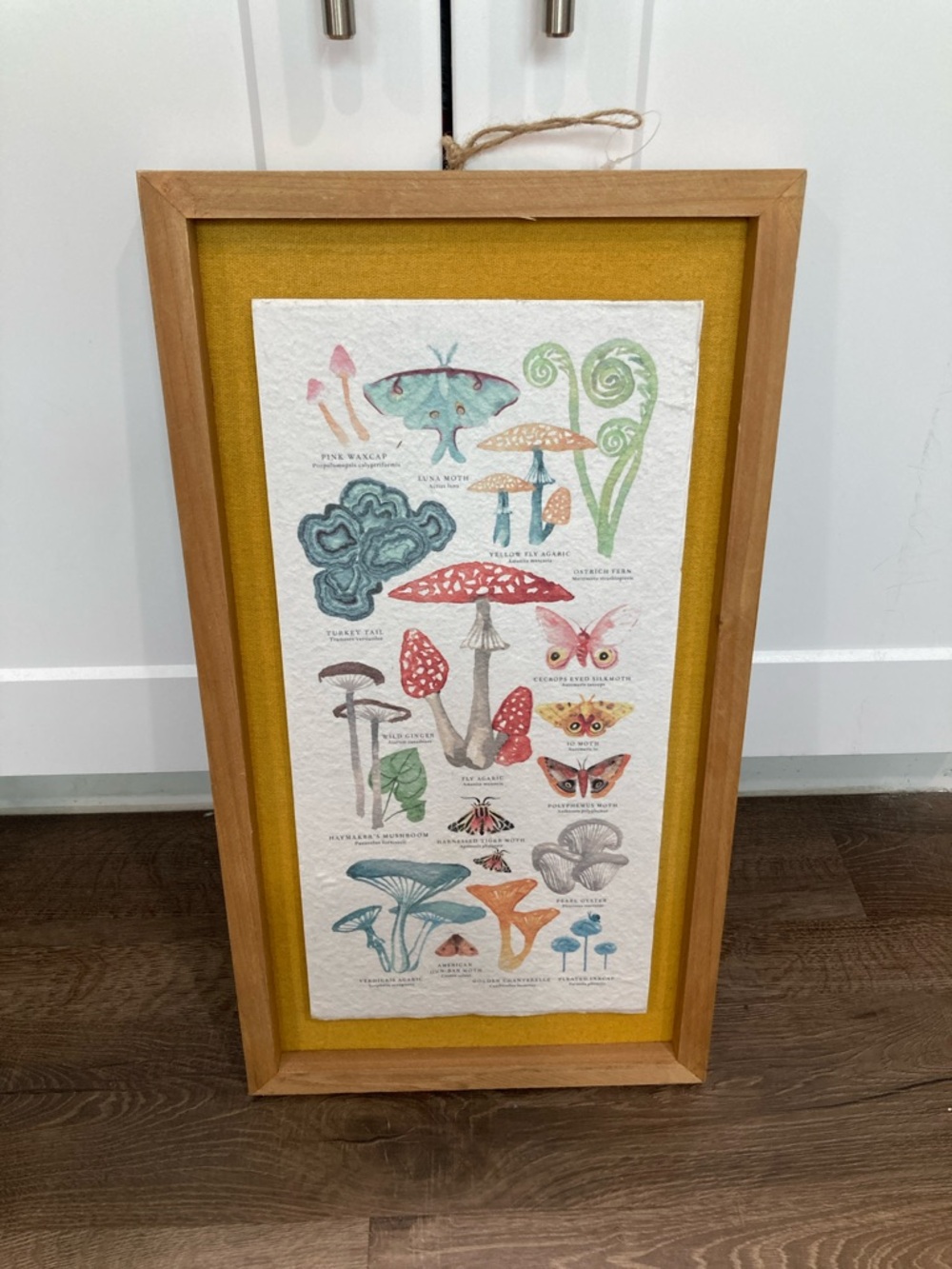 Botanical Mushroom & Moth Art Print in Wood Frame - Mustard Mat